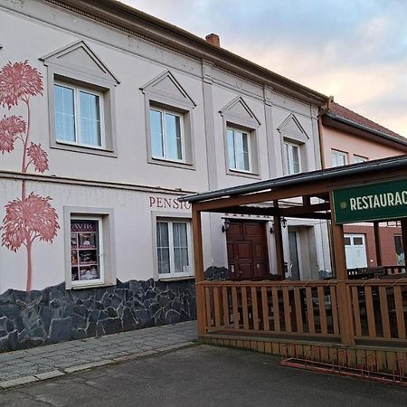 Pension Pavir Zidlochovice 外观 照片